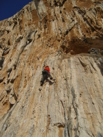 SNV80479.JPG